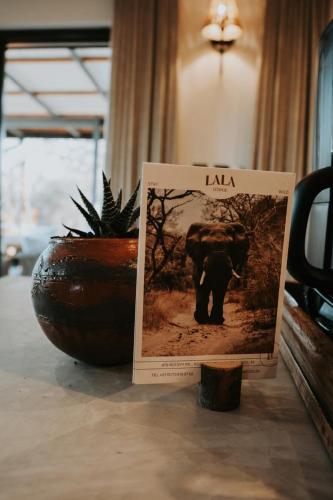 Lala Lodge — 4-Star Luxury Hotel in Hoedspruit, South Africa