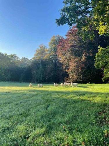 Newly renovated Cottage with private trout fishing set in beautiful wildlife estate