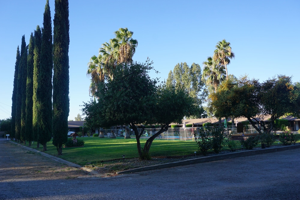 Blue Gum Motel - photo 33
