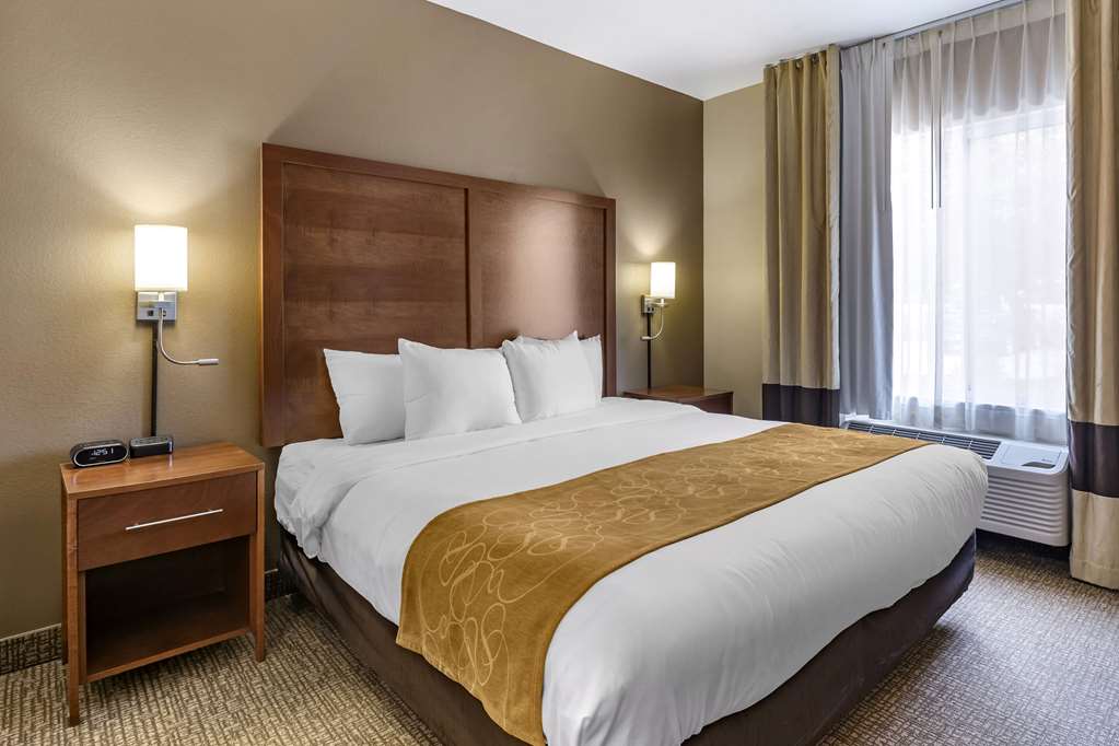Comfort Suites Coralville I 80 - photo 10