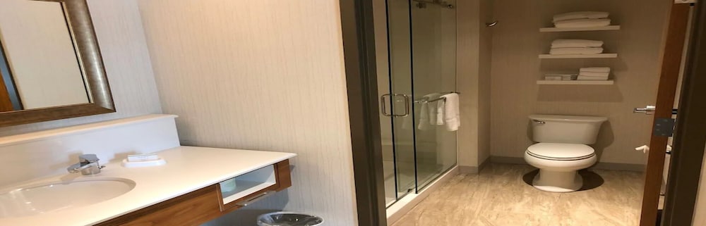 Hampton Inn & Suites Tampa Busch Gardens Area - photo 27