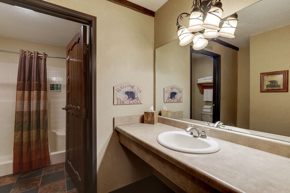 Stoney Creek Hotel Quad Cities Moline - photo 34