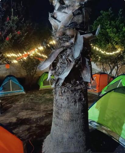 casas de campaña para Dia de Muertos — hotel in Xico