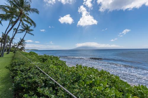 Mahana Resort #1017 1 Br Condo - photo 20