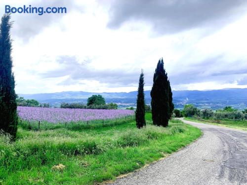Casale Degli Olivi — Reggello