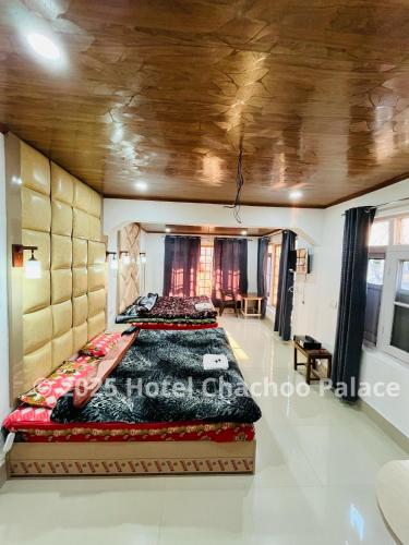 Hotel Chachoo Palace — Srinagar — photo 4