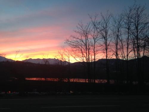 Pub il gatto e la volpe in Avigliana, Italy