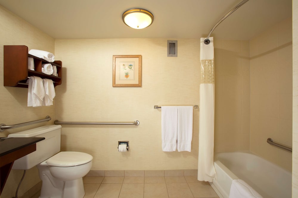 Hampton Inn Alexandria Pentagon South - photo 14