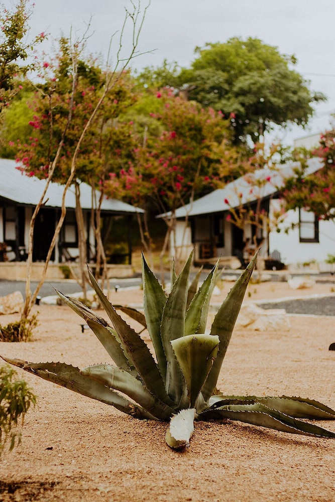 The Vaquero Motel - photo 43