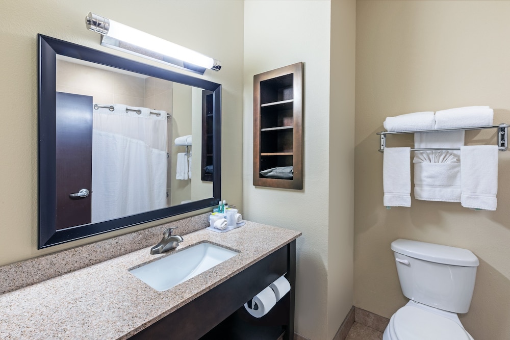 Holiday Inn Express & Suites Floresville by IHG - photo 17