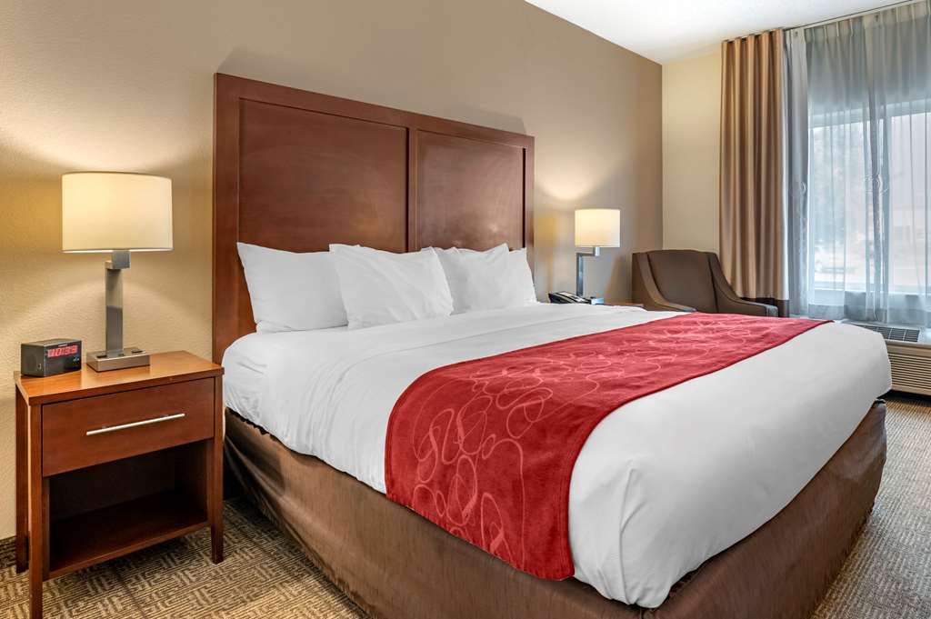 Comfort Suites Columbus West Hilliard - photo 6