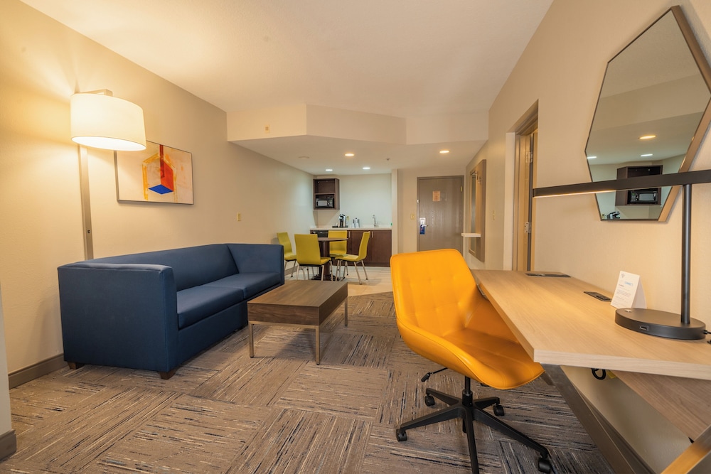 Holiday Inn Express Hotel & Suites Tampa Northwest Oldsmar by IHG - photo 18