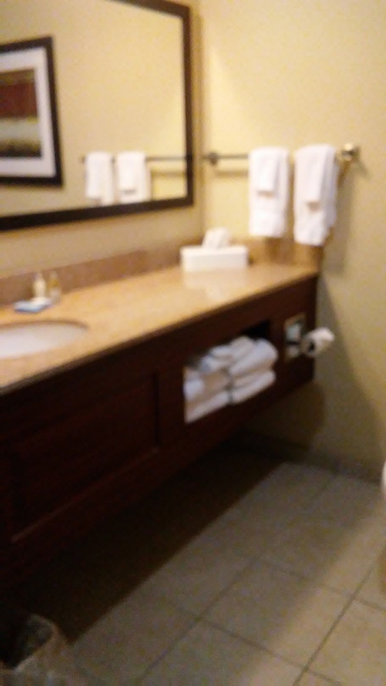 Comfort Inn & Suites Marquette Prairie du Chien - photo 21