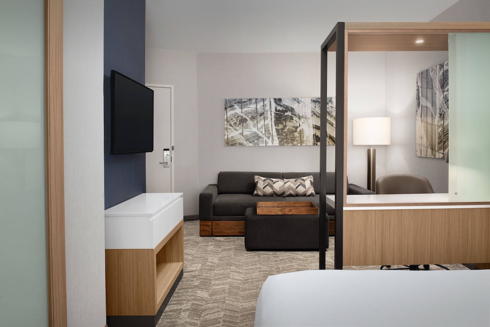 SpringHill Suites by Marriott Charleston Airport & Convention Center - photo 15