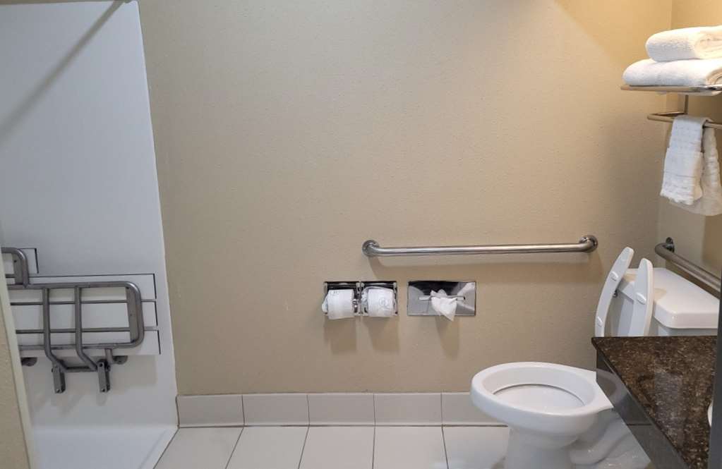 Best Western Plus Mishawaka Inn - photo 26