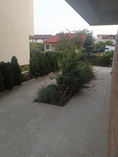 Cozy Popesti — Popesti-Leordeni — photo 3