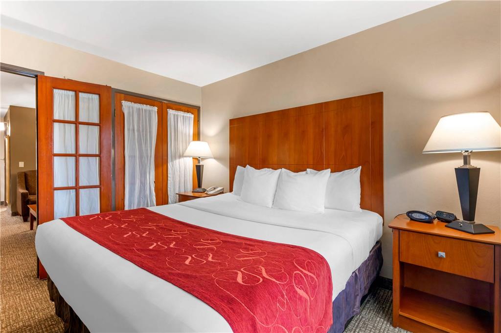 Comfort Suites North Dallas - photo 25