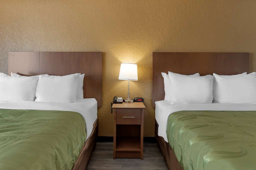 Quality Inn Saint Petersburg North Tampa Bay - photo 28