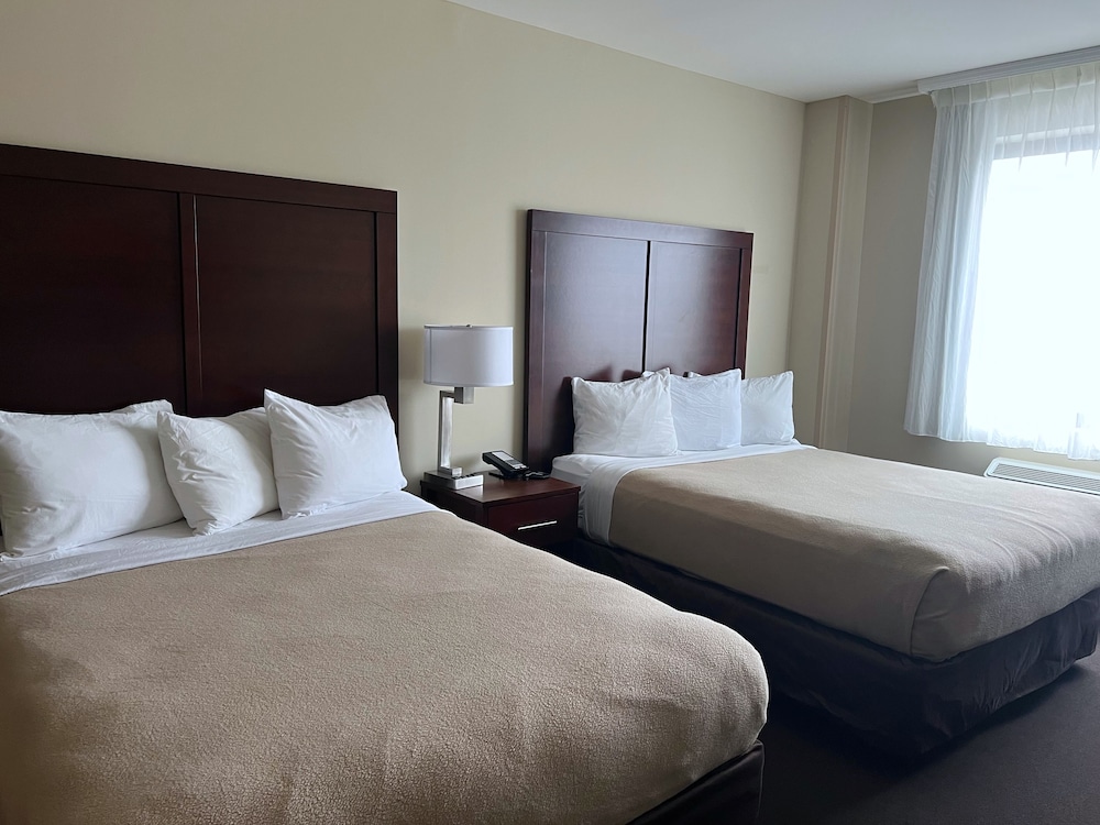 Lotus BLU Inn & Suites - photo 8