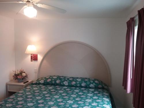 Apollo Resort Motel - photo 9