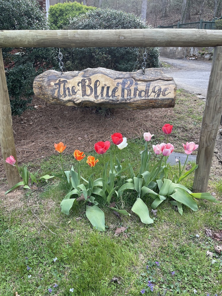 Mountain Aire Cottages & Inn - photo 298