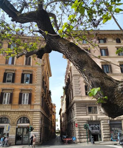 Vatican near Sweet Home Terrace — 4-Star Luxury Hotel in Rome, Italy