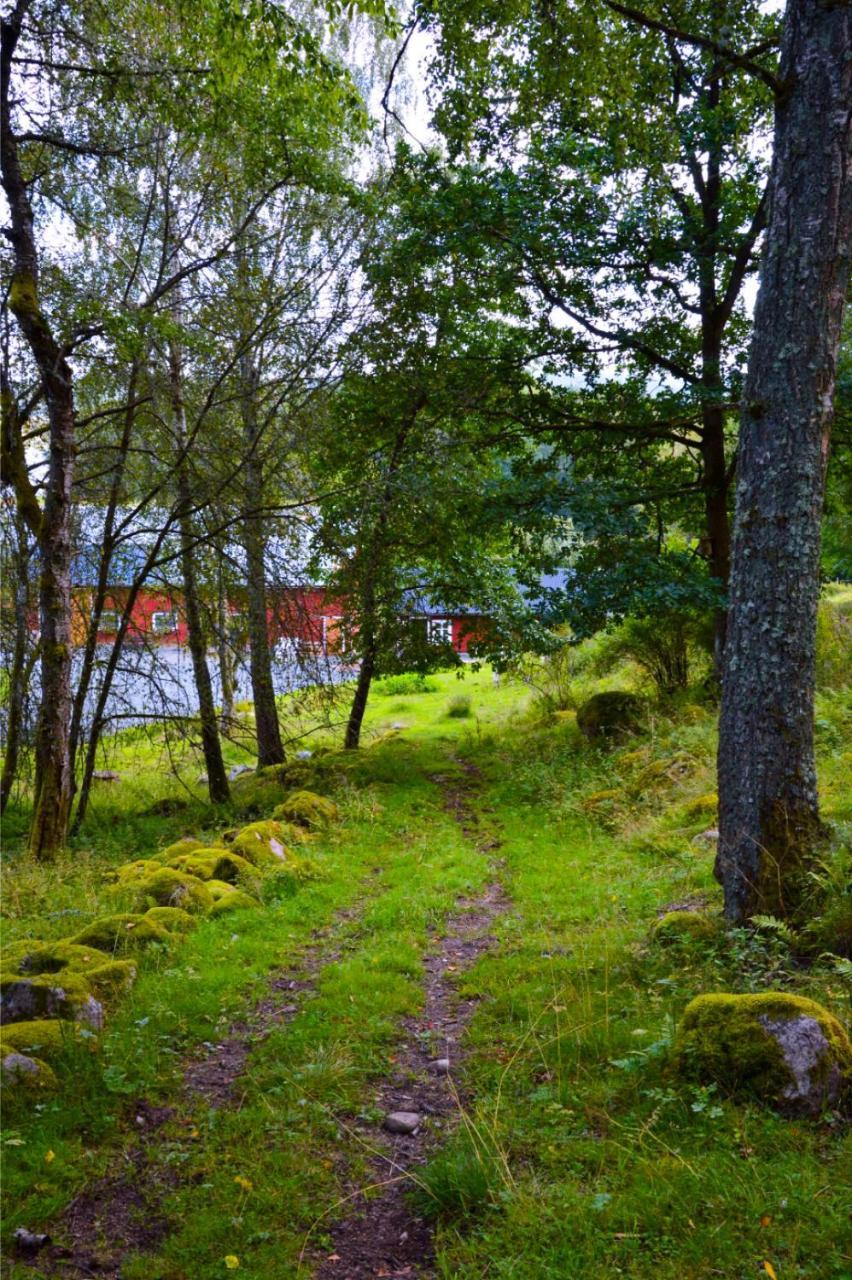Ljungaviken — Aneby — photo 4