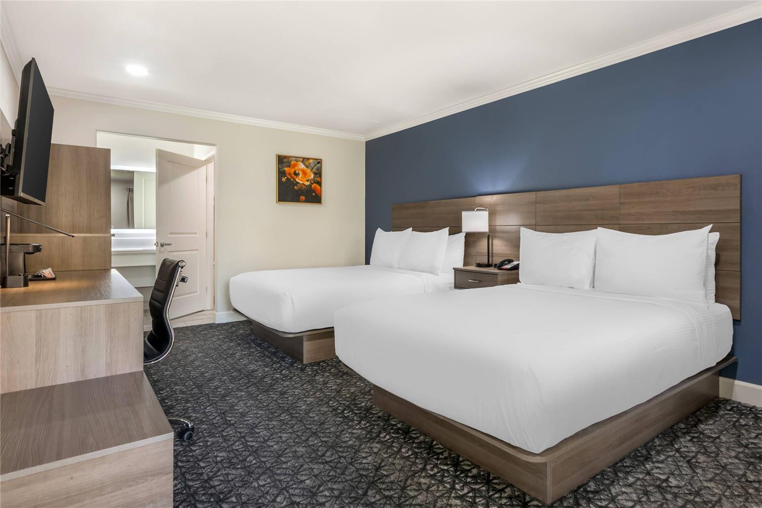 University Park Inn & Suites an Ascend Collection Hotel - photo 14