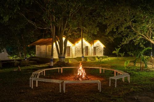 Dandeli Kali River Stay — Dandeli