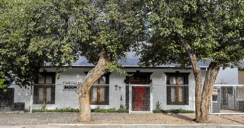 Little Lamb in Beaufort West, South Africa