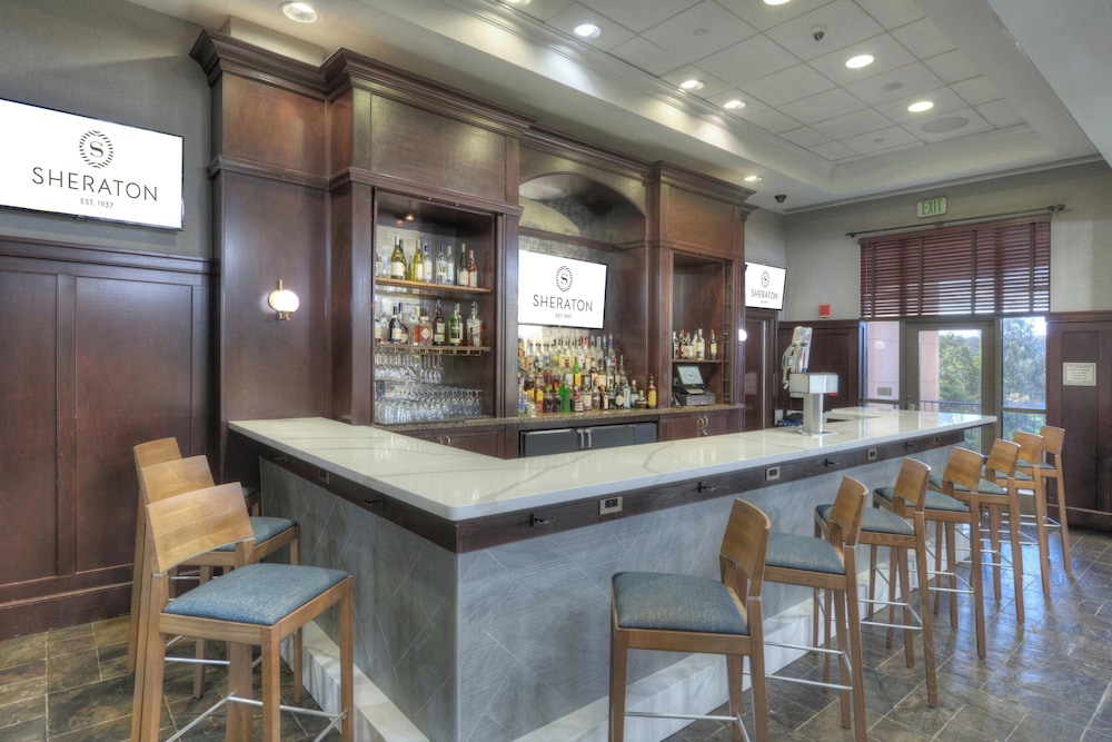 Sheraton Baltimore Washington Airport Hotel BWI - photo 37