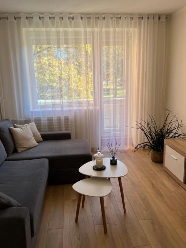 Apartamentai Miesto Centre 21057346 — Marijampole