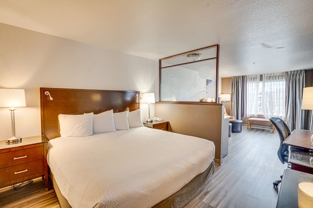 The Ashley Inn & Suites - photo 17