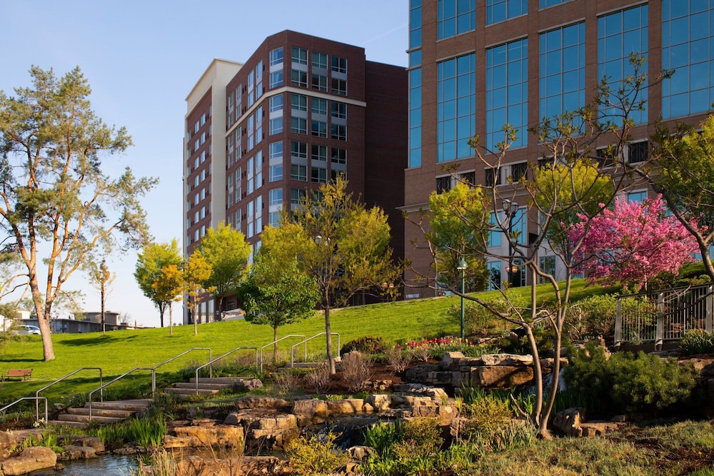 Residence Inn St. Louis Clayton - photo 39