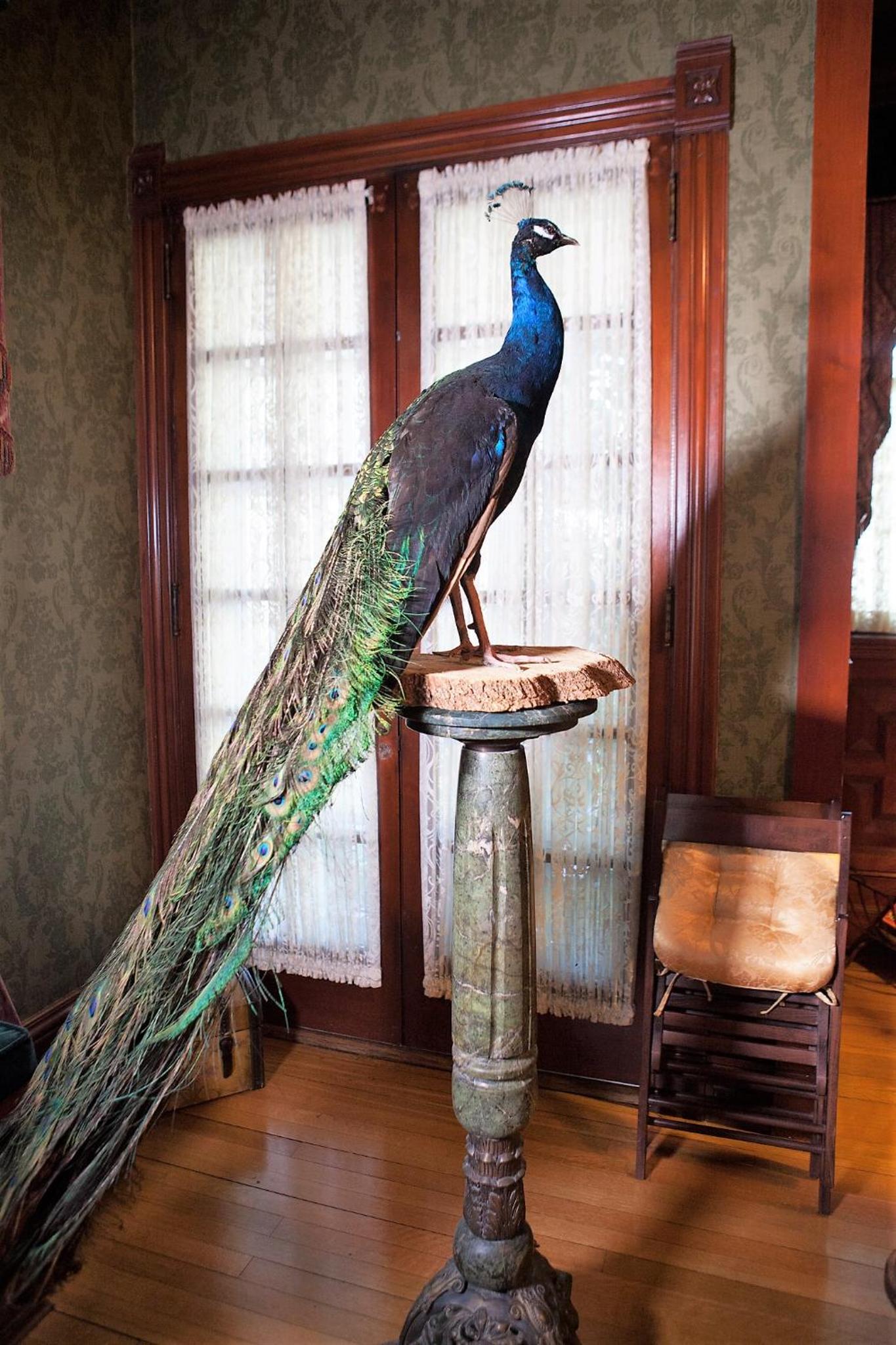 Alexander Mansion Bed and Breakfast - photo 47