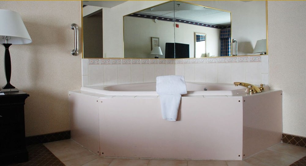 The Plaza Hotel & Suites Winona - photo 5