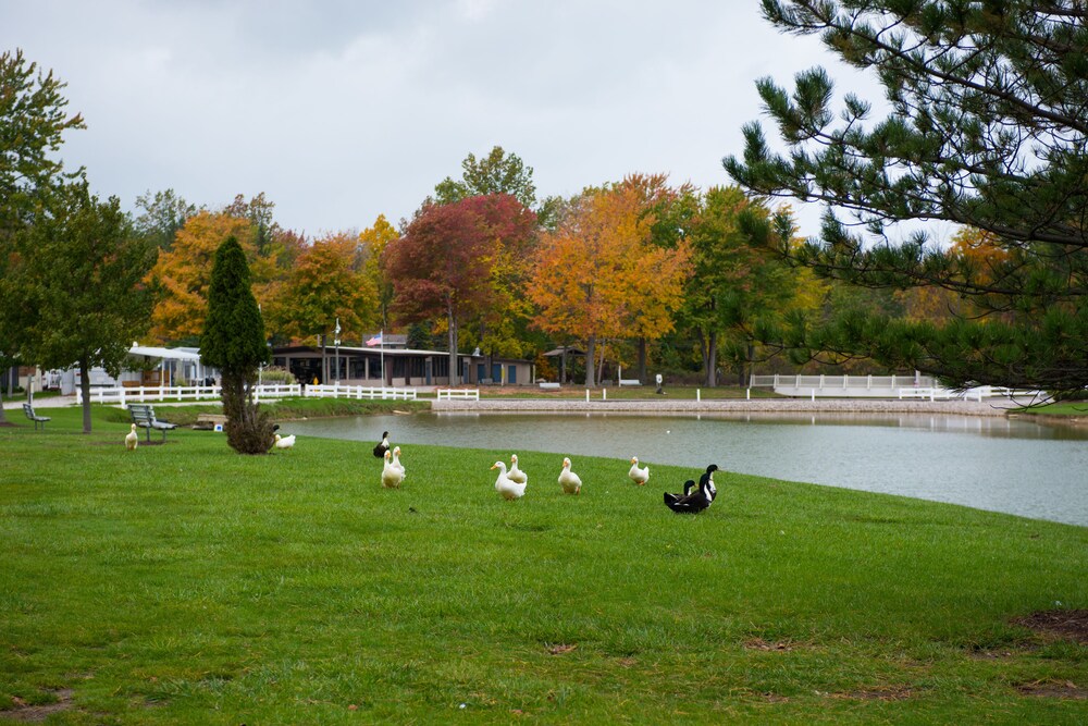 Sun Retreats Geneva on the Lake - photo 28