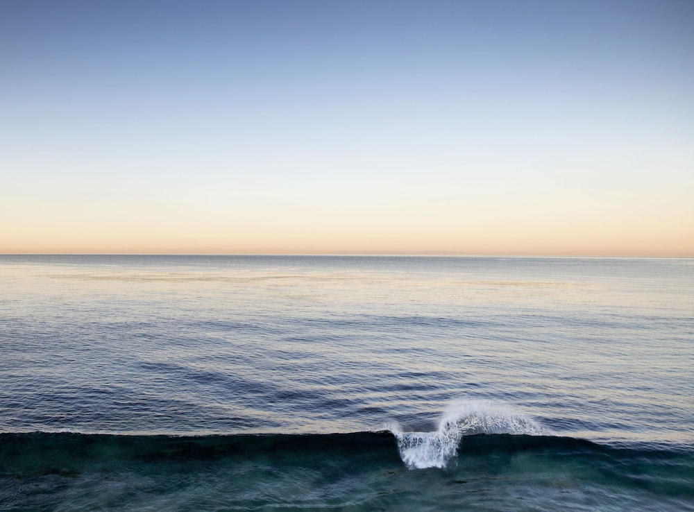 Pacific Edge Hotel - photo 99