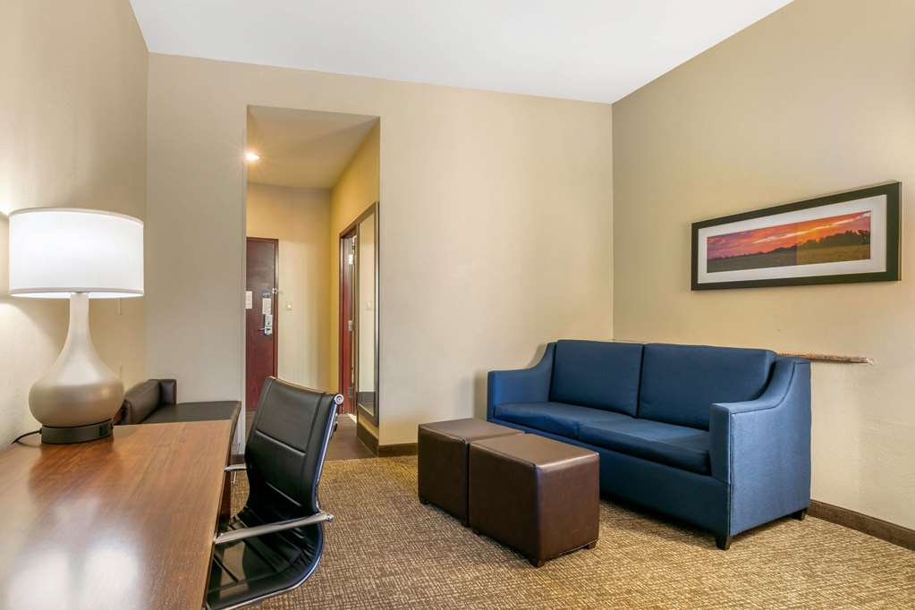 Comfort Suites Forrest City - photo 30