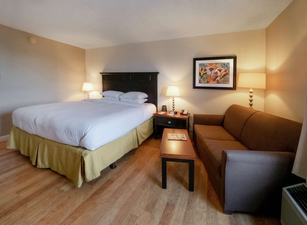 DoubleTree by Hilton Hotel Buffalo Amherst - photo 7