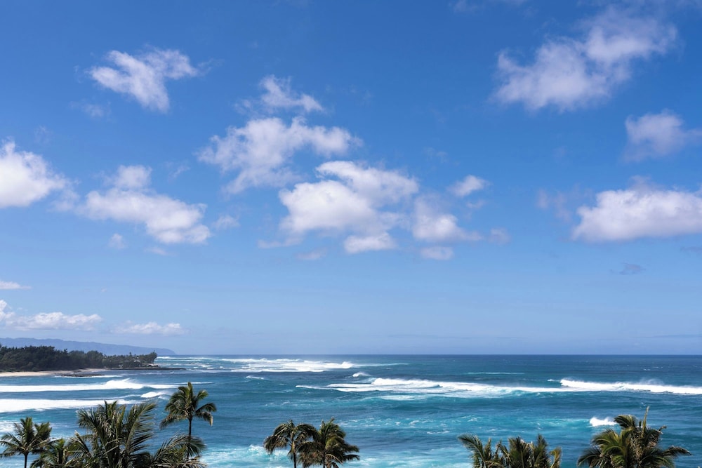 The Ritz Carlton O ahu Turtle Bay - photo 92