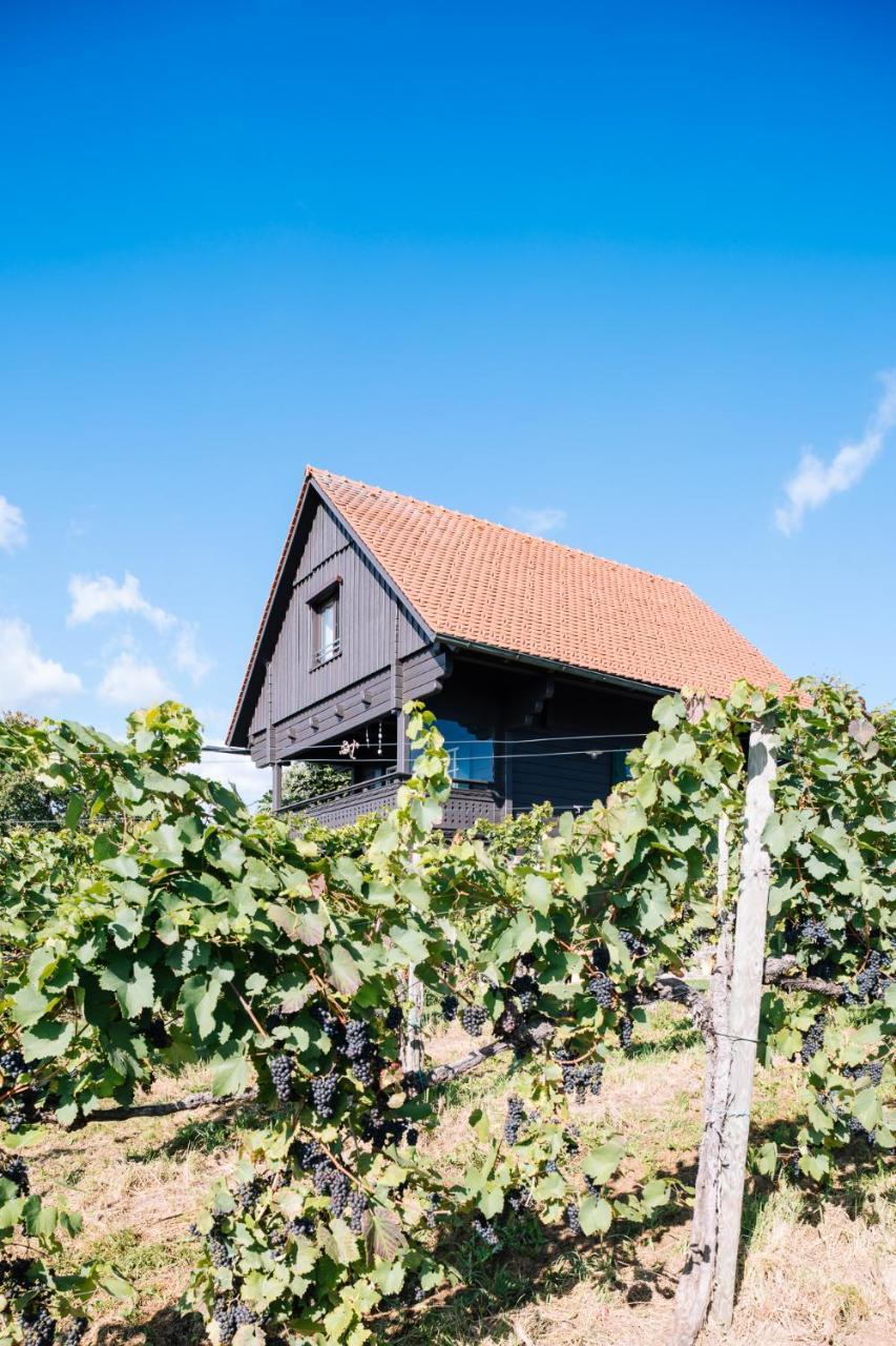 Schilcherlandleben Weingartenhaus — hotel in Sankt Stefan Ob Stainz