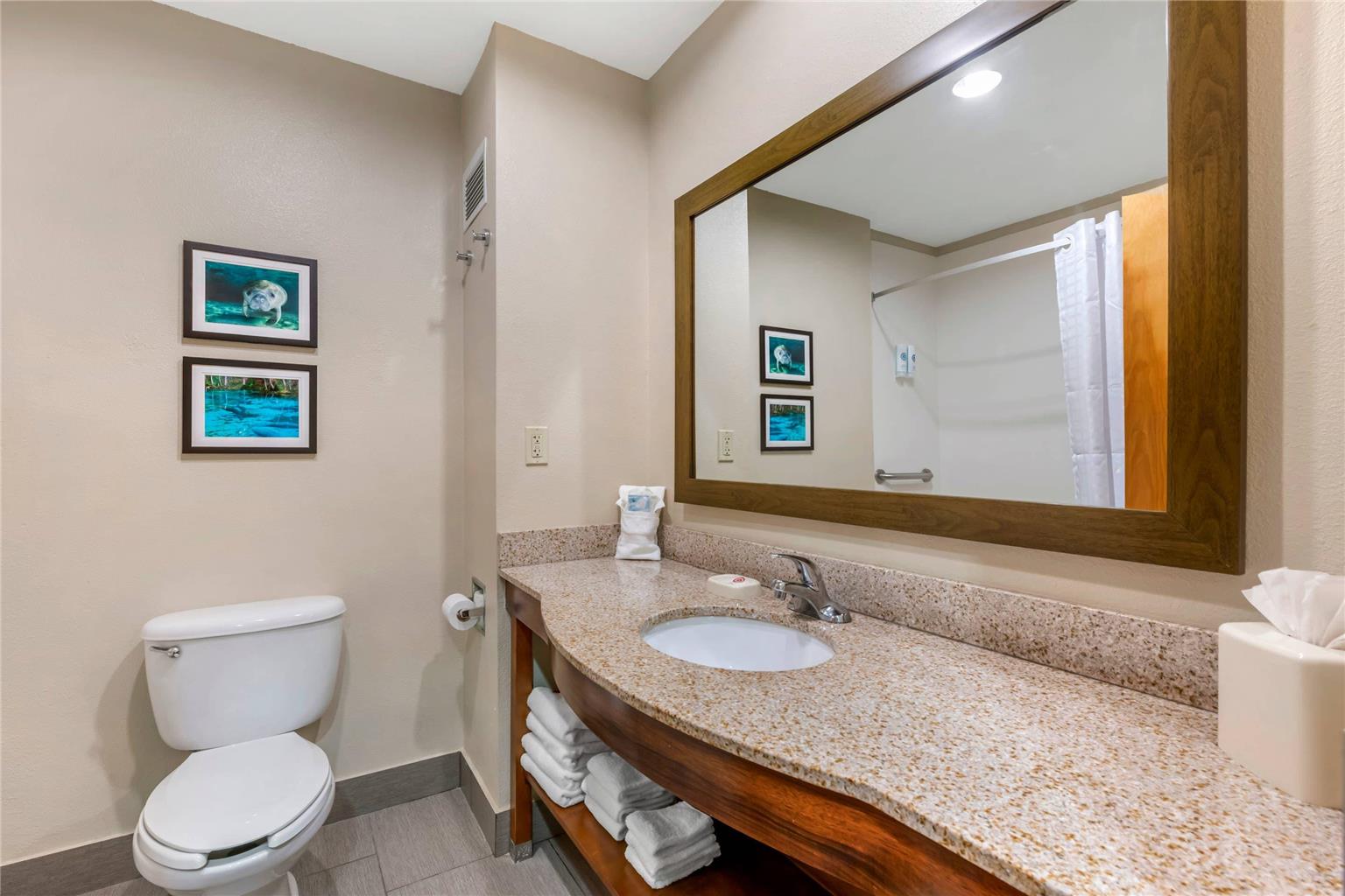 Comfort Inn & Suites Wildwood The Villages - photo 17