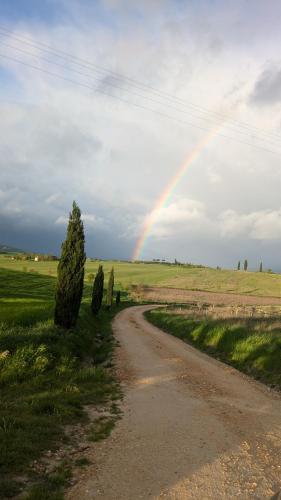 The Rose in Unknown City, Italy