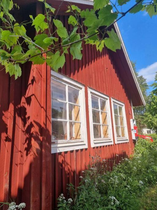 Bo på lantgård — Motala — photo 4