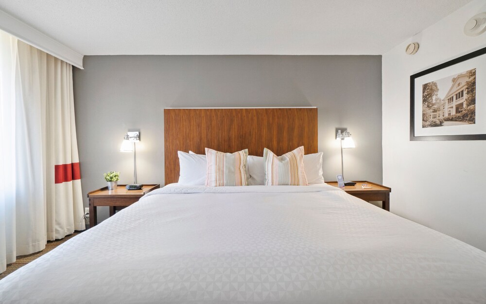 Four Points by Sheraton Charlotte - photo 13