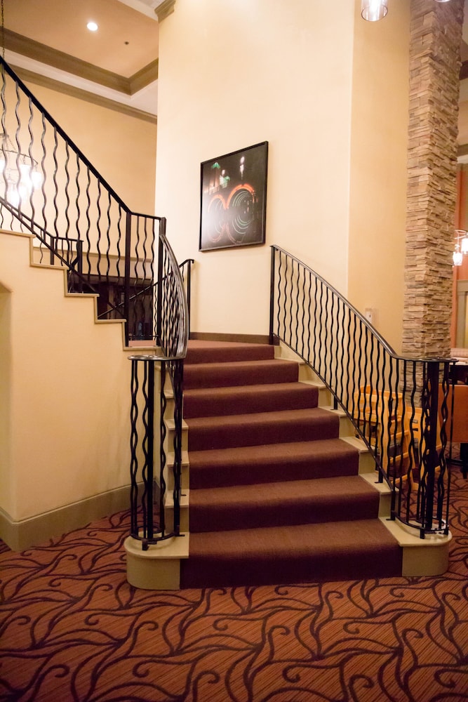 Homewood Suites by Hilton Houston Woodlands - photo 6