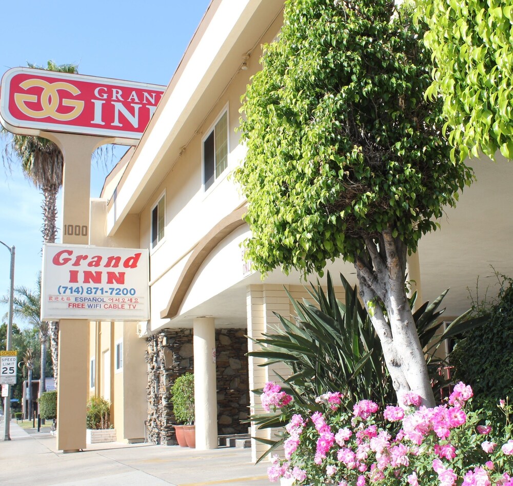 Grand Inn - photo 36