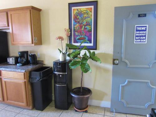 The Treme Hotel - photo 18