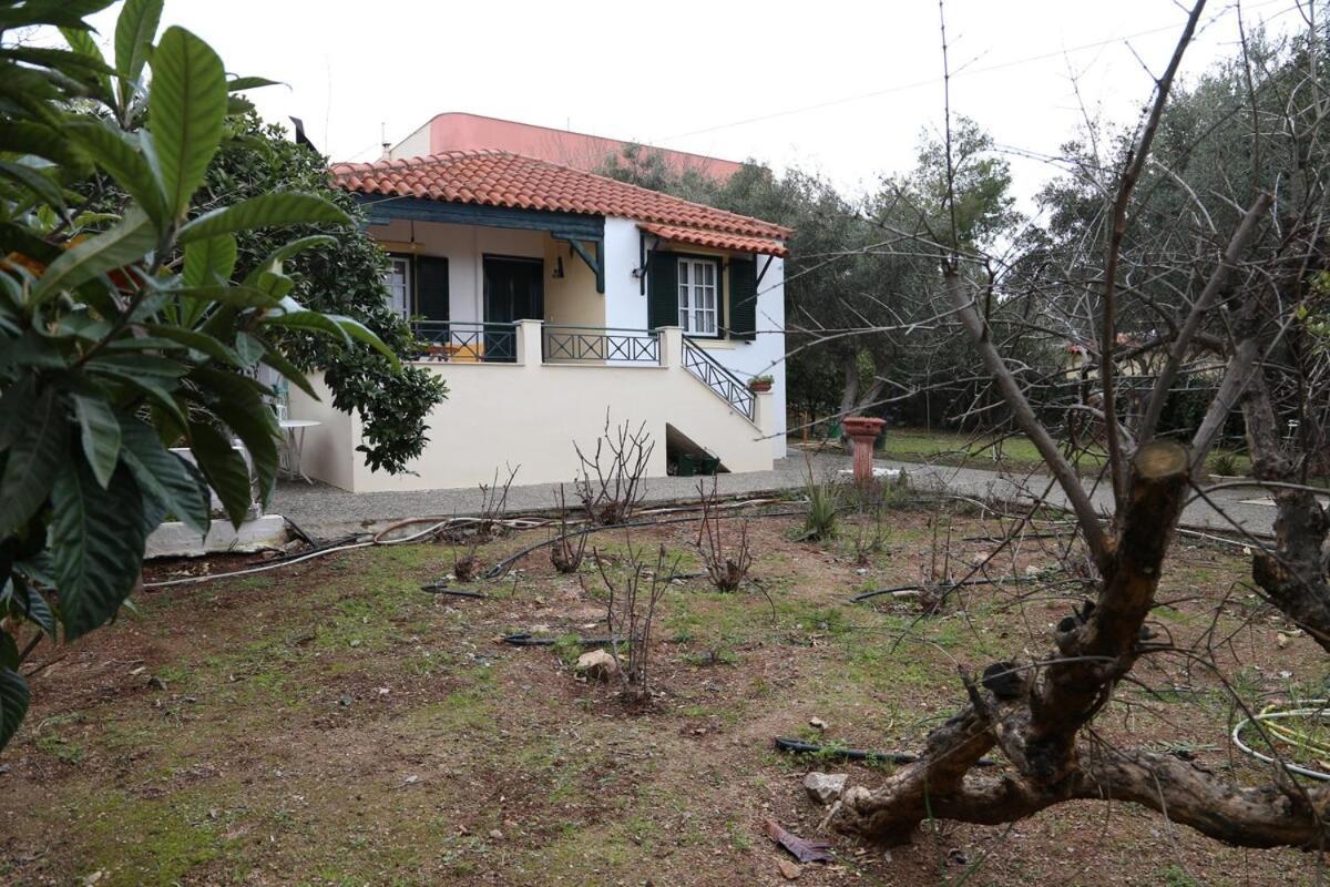 Babis Garden Salamina in Selinia, Greece